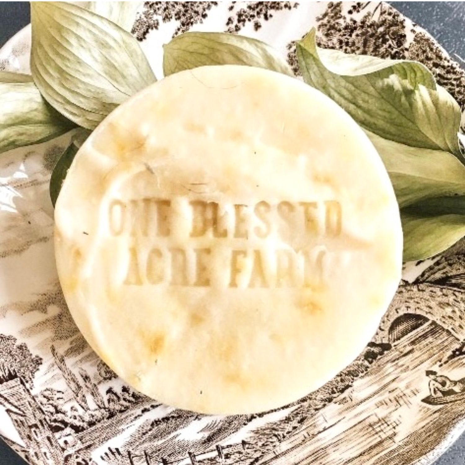 Goat Milk Shampoo Bar Herbal Infused Hair Soap Normal to Dry Hair