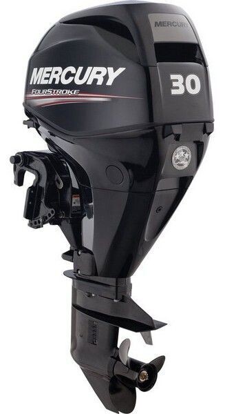 Mercury F 30 EPT - ELPT