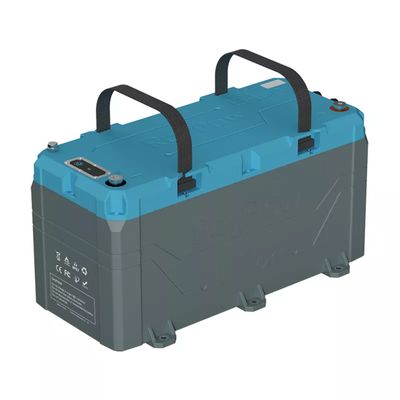 RoyPow LiFePO4 12V 100Ah
