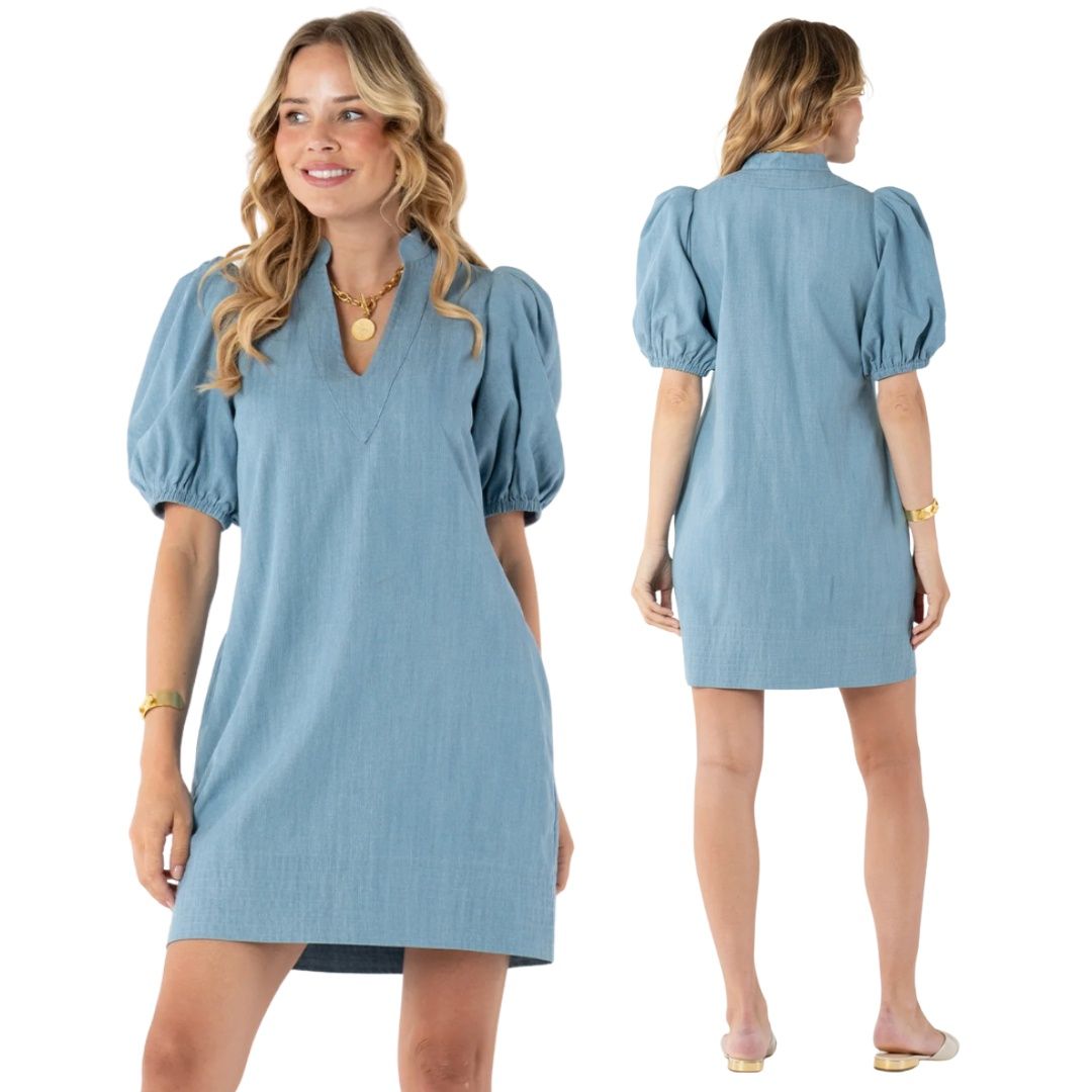 Denim Chambray Hampton Mini Dress
