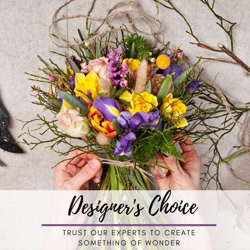 Designer&#39;s Choice