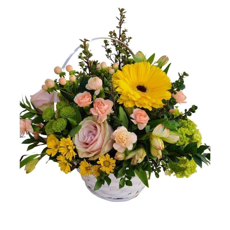Basket of Wonder