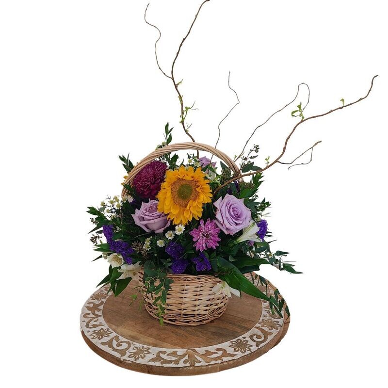 Desert Canyon Desert Canyon