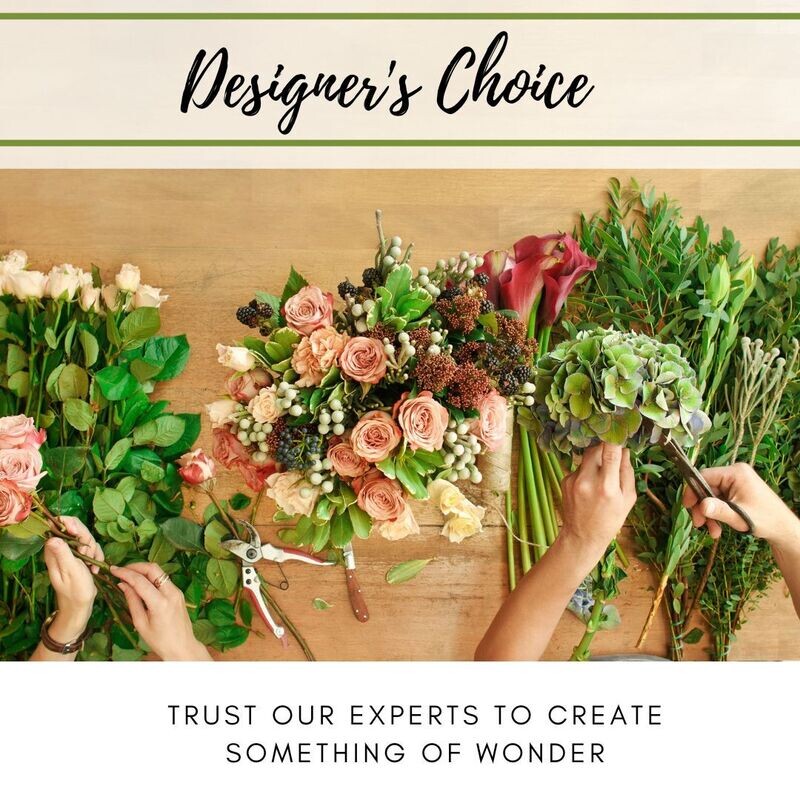 Designer&#39;s Choice