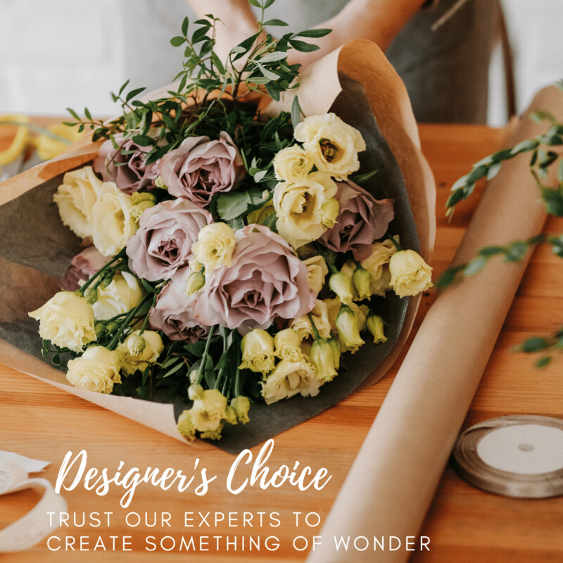 Designer&#39;s Choice