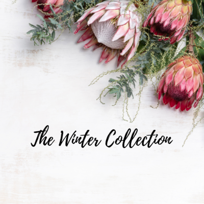 The Winter Collection