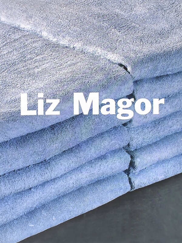 Liz Magor