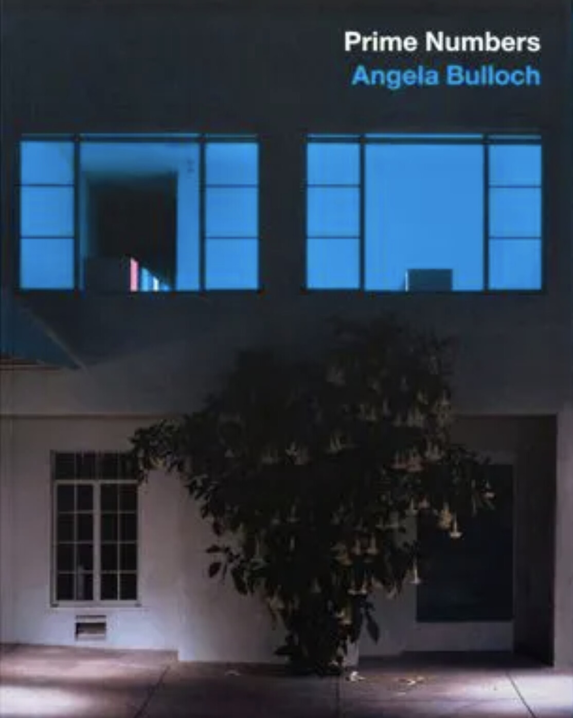 Angela Bulloch: Prime Numbers