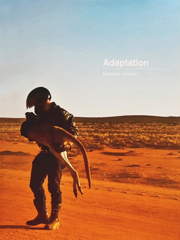 Adaptation: Between Species