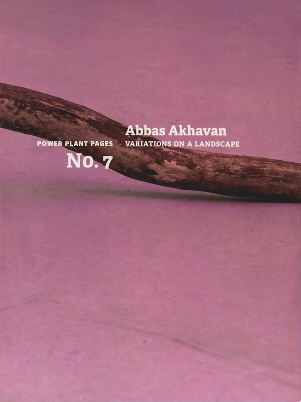 The Power Plant Pages: Abbas Akhavan: Variations on a landscape