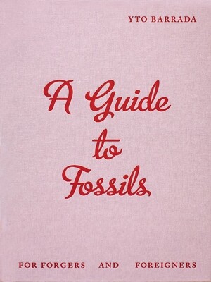 Yto Barrada: A Guide to Fossils for Forgers and Foreigners