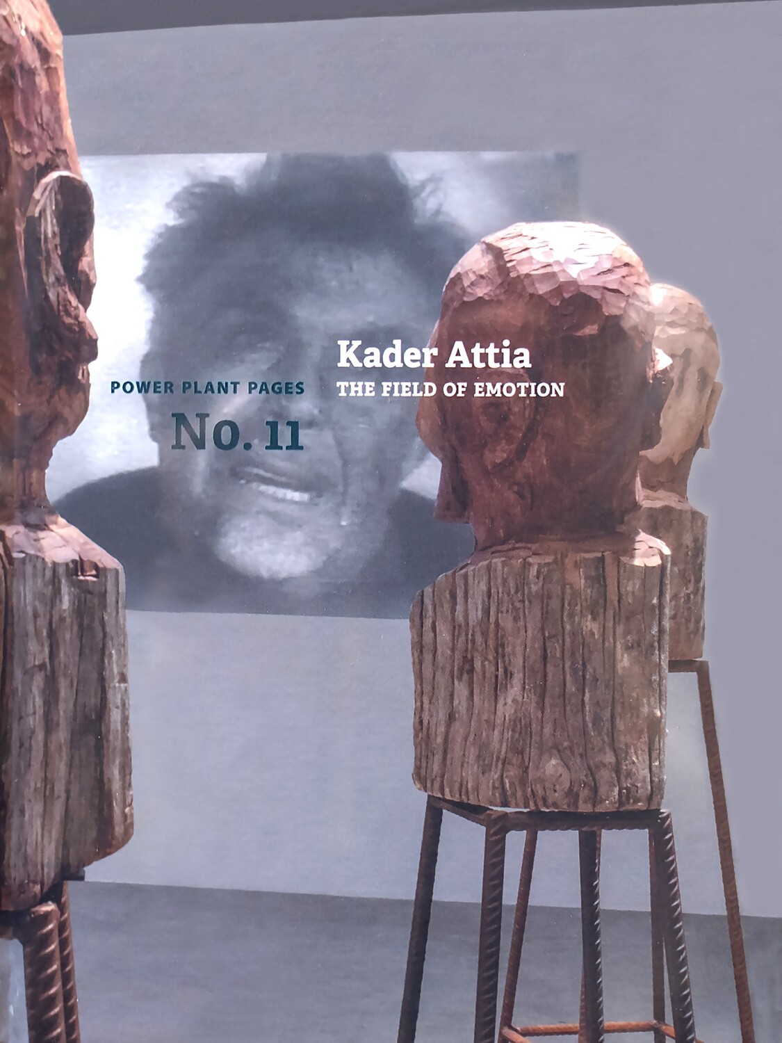 Kader Attia: The Field of Emotion