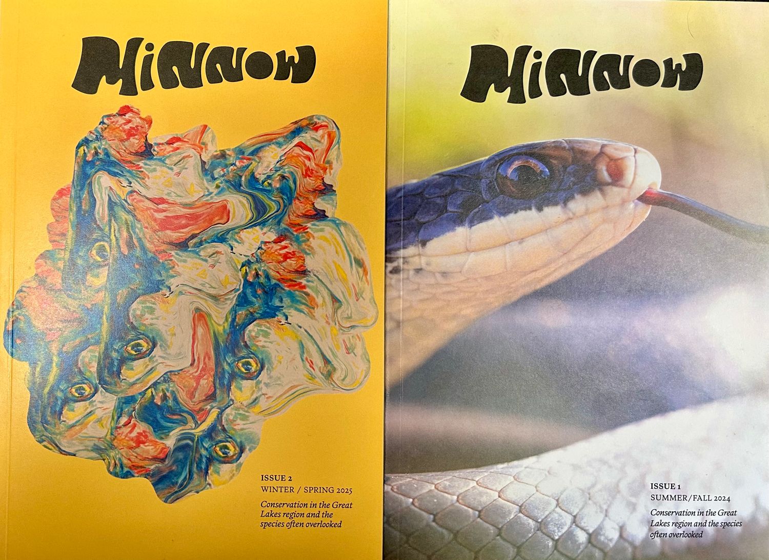 Minnow Magazine