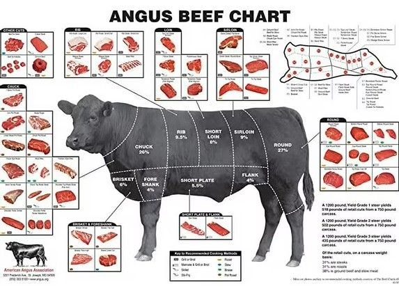 BEEF PRICING INCLUDES ANIMAL AND PROCESSING