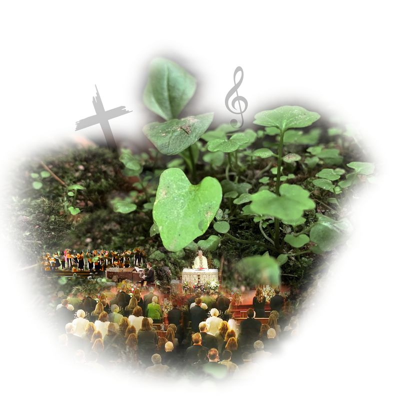 Mass of a Gentle Heart