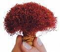 Saffron Capsule (Crocus Sativus)