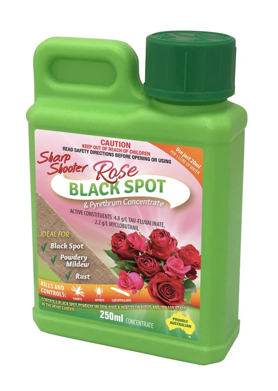 Rose Black Spot 250ml Concentrate