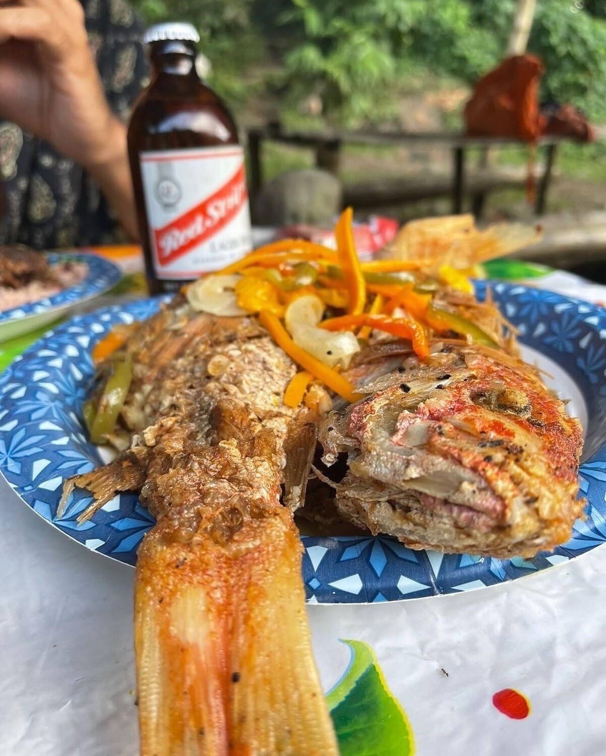 Fish Plate