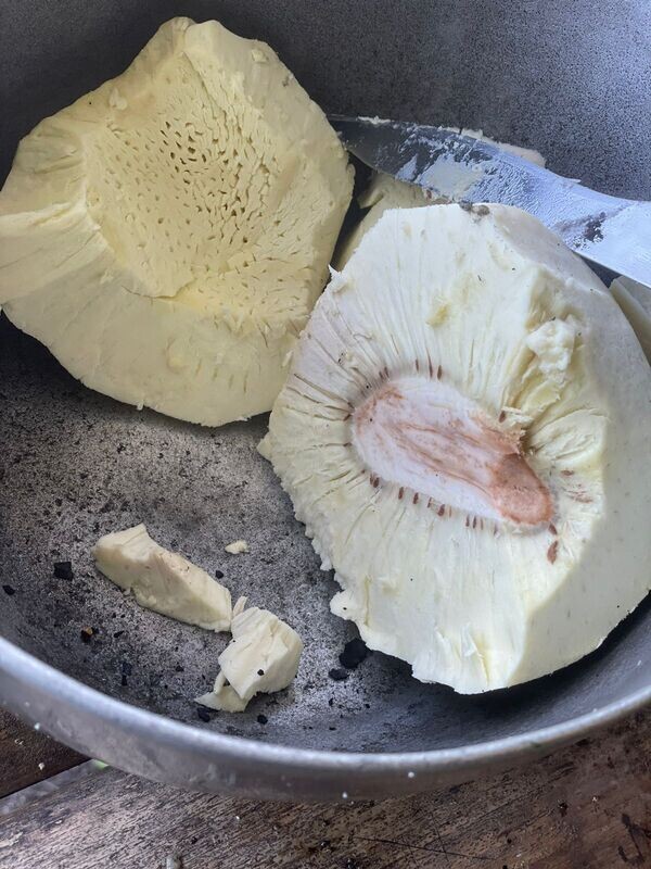 Roasted Breadfruit