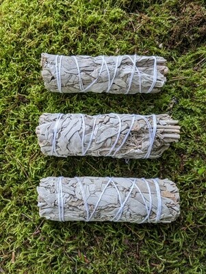 3" White Sage Smudge Sticks - 3 Pack