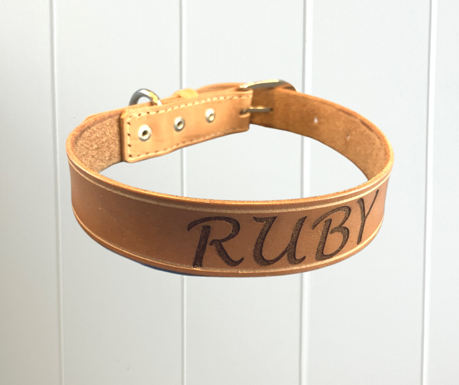 Leather Dog Collar Custom Engraved
