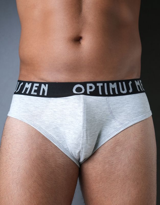 Briefs:  Light Grey with Black and light Grey Waste-Band