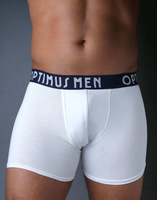 Boxer Briefs:  White with Black and White Waste-Band