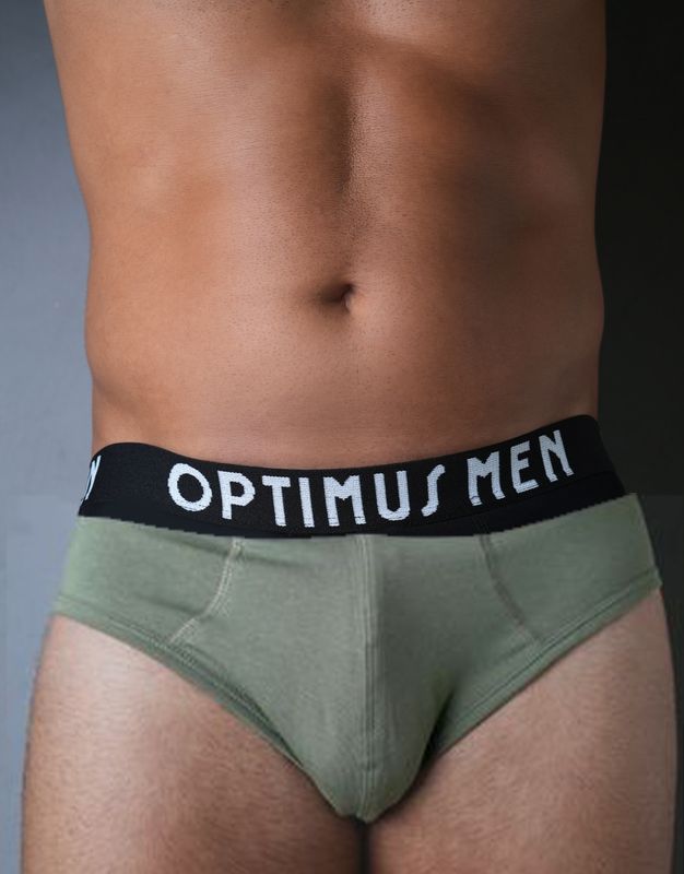 Briefs:  Olive Green  with Black and light Grey Waste-Band
