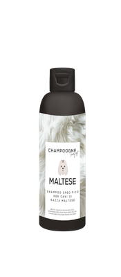 CHAMPOOGNE -LINEA SPECIALE MALTESE