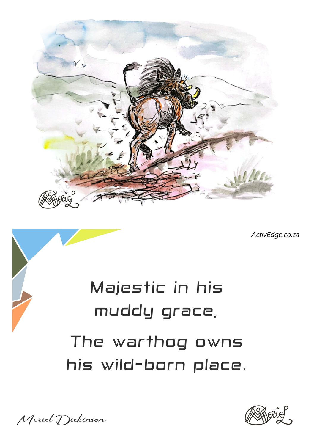 Strutting Warthog (landscape)