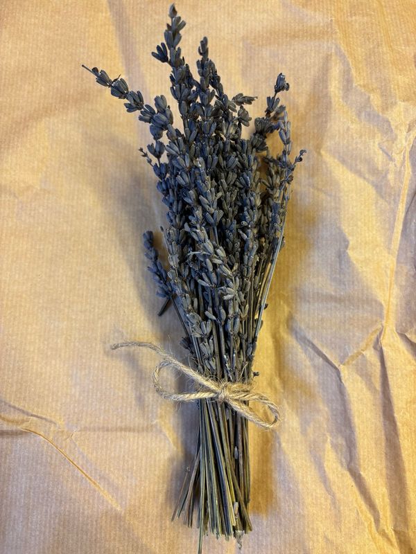 Torkad lavendel bukett