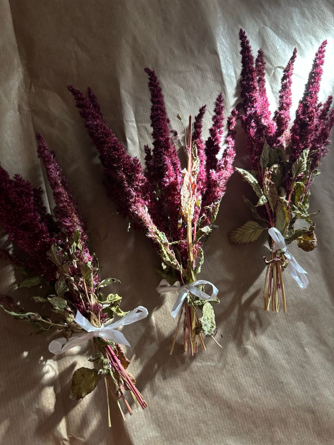 Torkad Amaranth Bukett