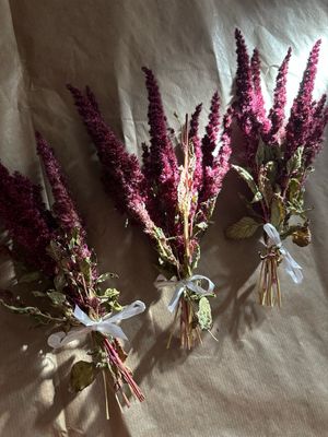 Torkad Amaranth Bukett