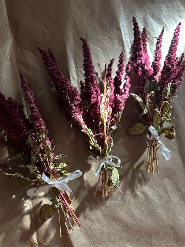 Torkad Amaranth Bukett