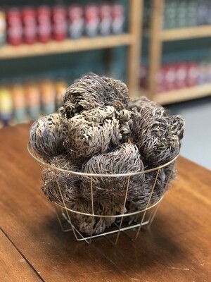 Rose Of Jericho (Small)