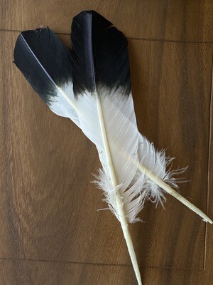 Smudging Eagle feather