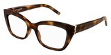 SAINT LAURENT SL M117-002 Havana Havana