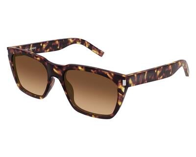 SAINT LAURENT SL 598-003  Havana Havana Brown