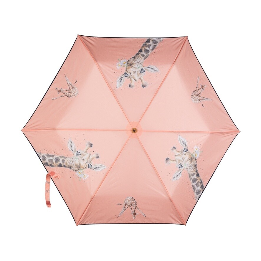 Umbrellas, Product: Flowers