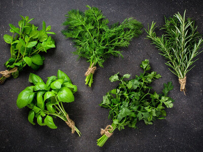 Nos herbes aromatiques