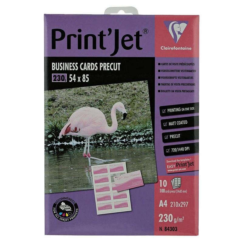 Clairefontaine Glossy Paper Bus Card Precut 230G A4 N.84303-10 sheet pack