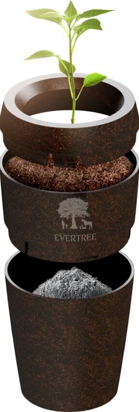 Evertree Urne 100% biologisch.Lass Erinnerungen lebendig werden