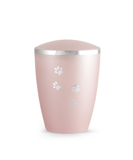 Edition Elegance rosé Edition Elegance rosé