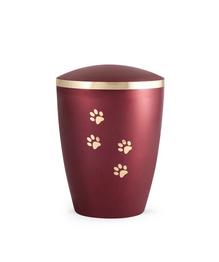 Edition Elegance perlmut weinrot Edition Elegance perlmut weinrot