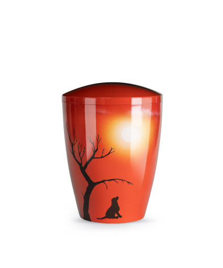 Sonnenuntergang rot