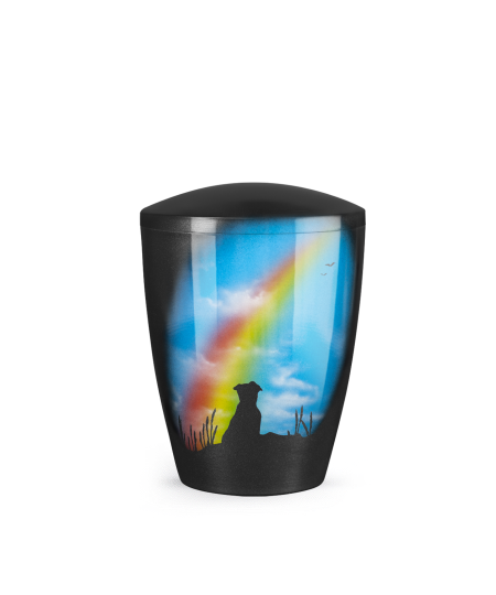 Regenbogen Hund