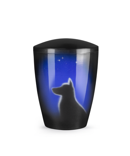 Hund bei Nacht