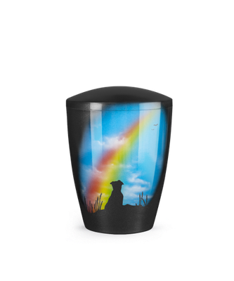 Regenbogen Hund Regenbogen Hund