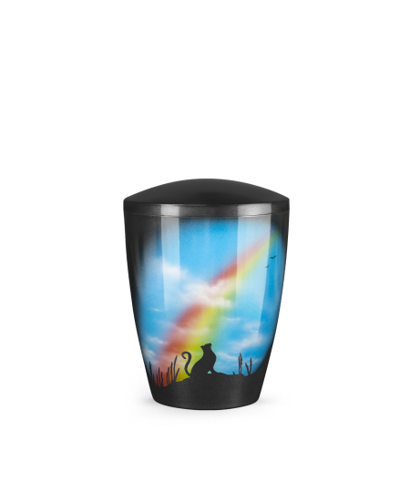 Katze Regenbogen