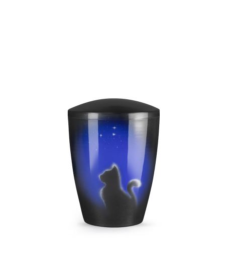 Katze bei Nacht